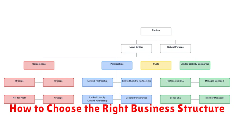 How to Choose the Right Business Structure