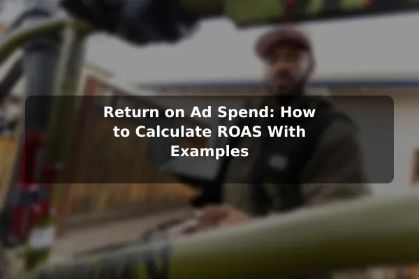 Return on Ad Spend: How to Calculate ROAS With Examples