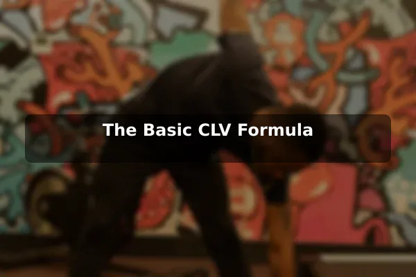 The Basic CLV Formula