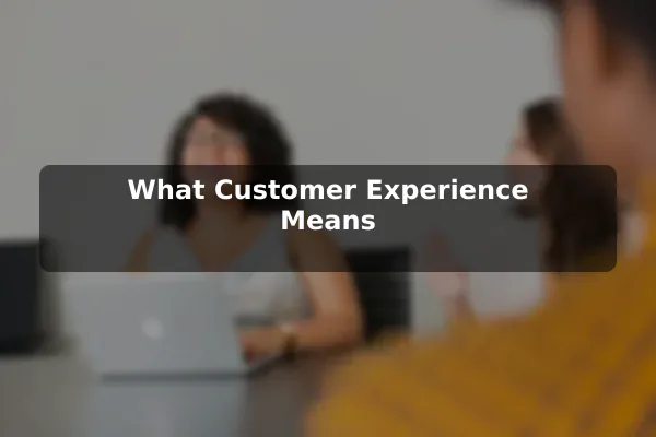 What Customer Experience Means